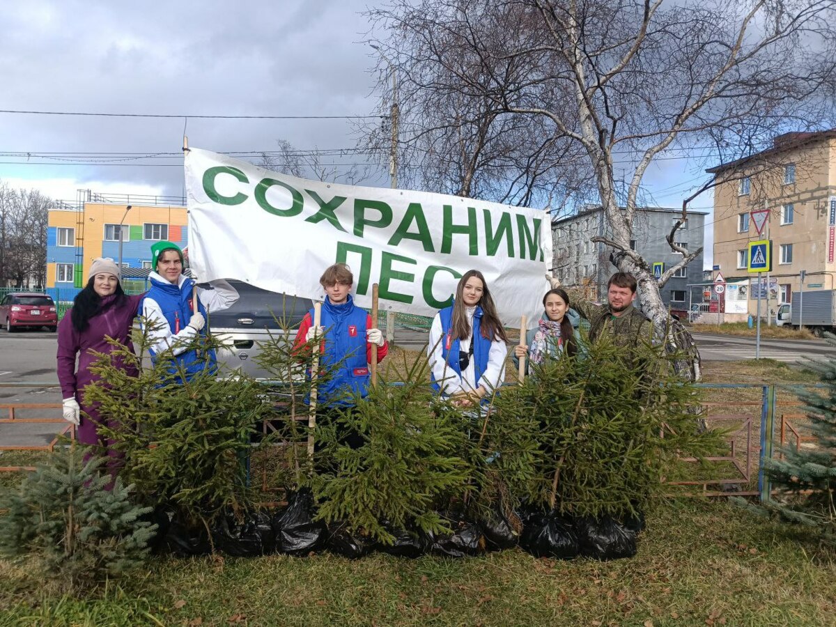 Десять елей высадили в городе Елизово на Камчатке в рамках Всероссийской акции