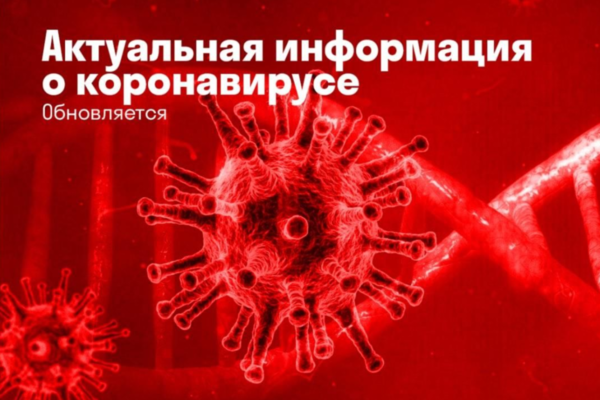 На Камчатке заработали две интернет-площадки с актуальной информацией о коронавирусе в регионе