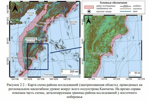 На Камчатке подвели итоги исследований «красных приливов», которые произошли осенью 2020 года на Тихоокеанском побережье