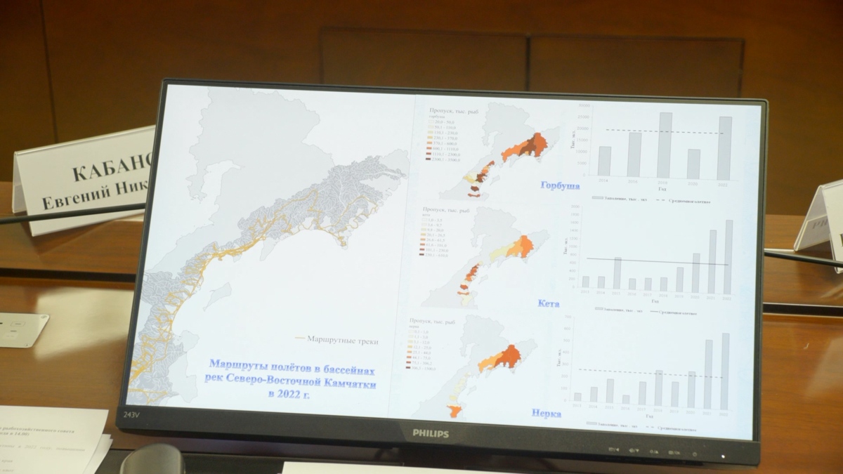 Методику прогноза по вылову горбуши на Камчатке могут изменить