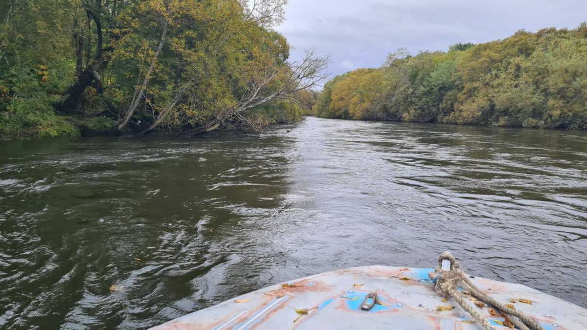 Уровень воды в Соболевском районе снизился на 20 сантиметров