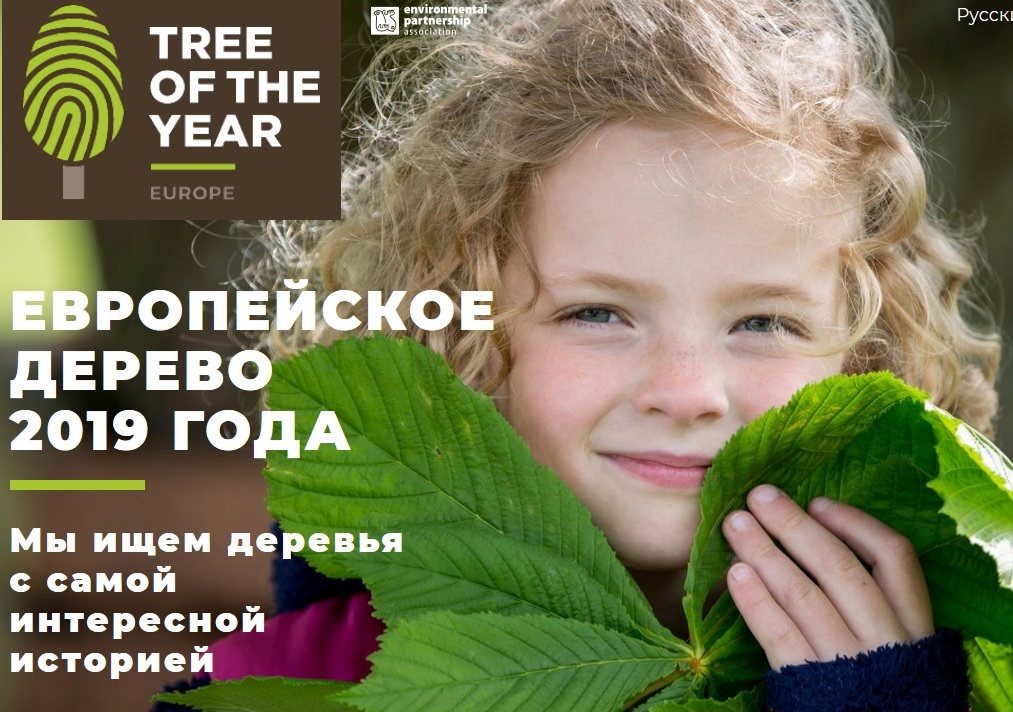 Международный конкурс «Европейское дерево 2019 года»