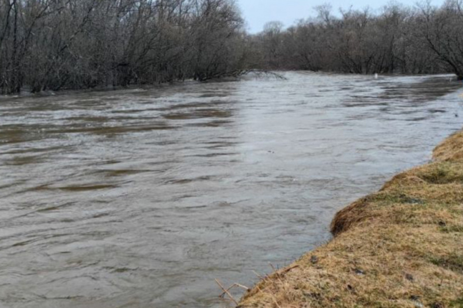 Уровень воды в реке Большая Воровская на Камчатке снижается 