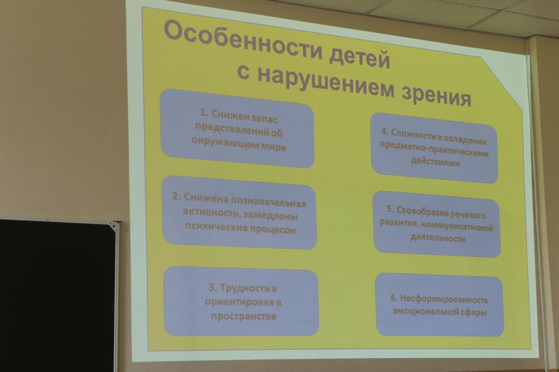 В Камчатском институте развития образования прошел семинар по работе с  детьми с нарушением зрения