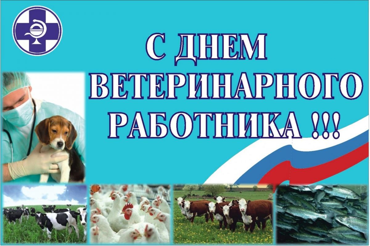 31 августа в России отмечается ежегодный профессиональный праздник «День  ветеринарного работника»